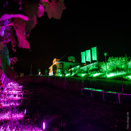 Bergstraße leuchtet