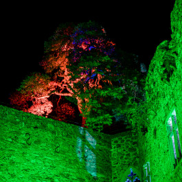 Bergstraße leuchtet