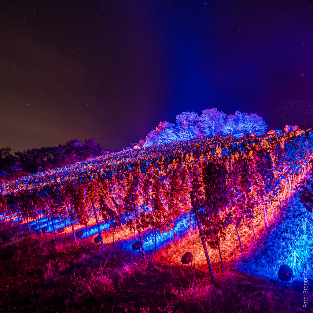 Bergstraße leuchtet 2020 — Kirchberg Bensheim, Bensheim, 12. September 2020: Lichtinstallation