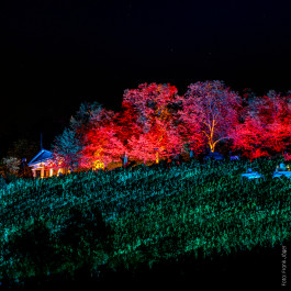 Bergstraße leuchtet