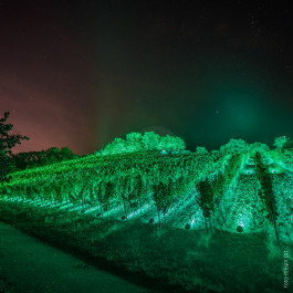 Bergstraße leuchtet