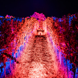 Bergstraße leuchtet