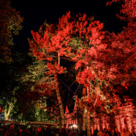 Bergstraße leuchtet