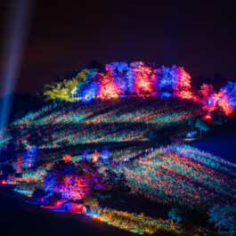 Bergstraße leuchtet