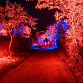 Bergstraße leuchtet